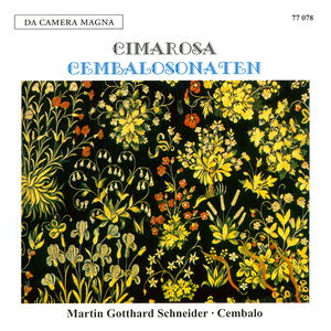 Sonate für Cembalo Nr. 25 (Auszug) in G Minor: Allegro