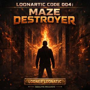 Loonartic Code 004: MAZE DESTROYER