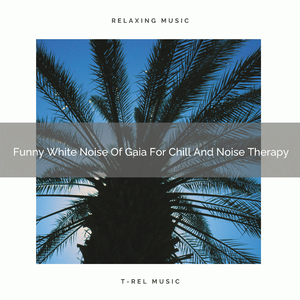 Fantastic Tunes Of Forest For Recharge And White Noise Therapy