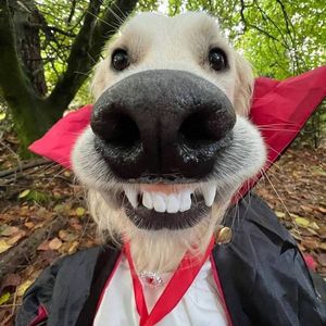 THIS IS NOT A Dom Corleo TYPE BEAT