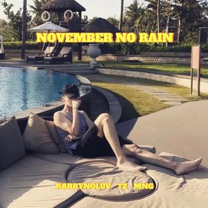 NOVEMBER NO RAIN