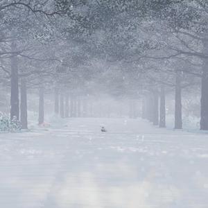 Thrush (feat. Tingting Fan)