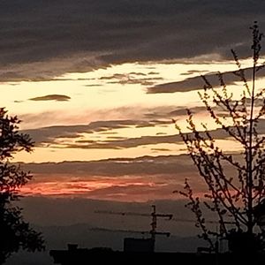 秋天黄粉色落日毫无意义的胡思乱想（Prod.lv9)