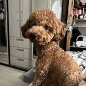 Hildebranda's (sped up)