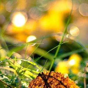 西西里舞曲 (睡眠音乐)