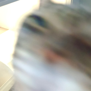 ฉันว่าดีกว่านี้