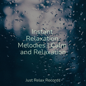 Mystic Garden's Melody