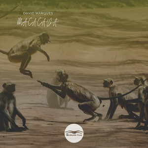 Macacada (Original Mix)