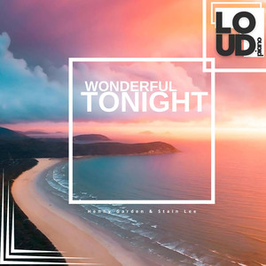 Wonderful Tonight