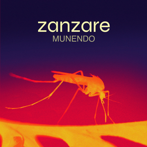 Zanzare