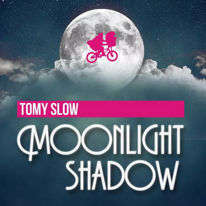 Moonlight Shadow (Radio Edit)