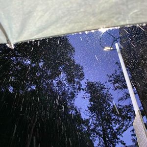 【Free】不愿醒的梦‘Rainy Night’