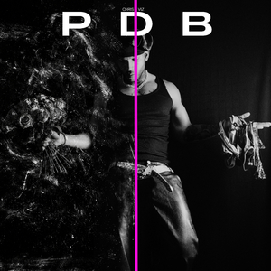 PDB