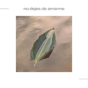 no dejes de amarme