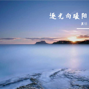 逐光向暖阳