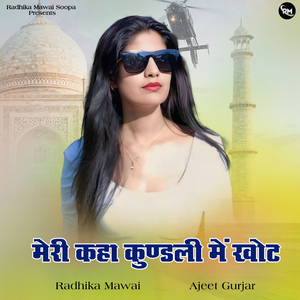 मेरी कहा कुण्डली में खोट