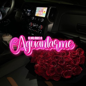 Si no ibas a aguantarme