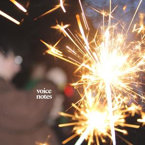 Voice Notes