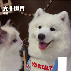 三紫吃净