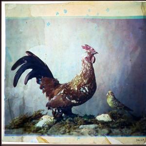 Im Out Here Consuming The Rot