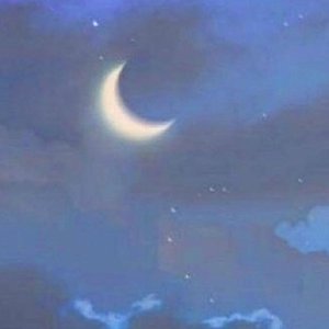 你错过的风景我都替你记录下来了