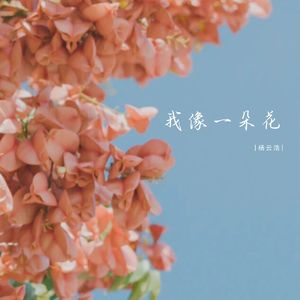 我像一朵花