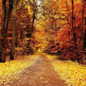 Seasons Change (feat. Tiek Tall & DYLXN!!)