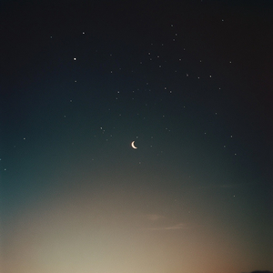 Rest (Sleep)