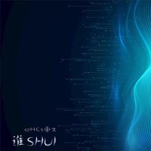 谁SHUI