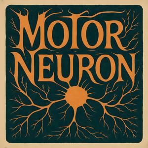 Senselessness of War