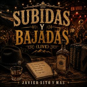 SUBIDAS Y BAJADAS