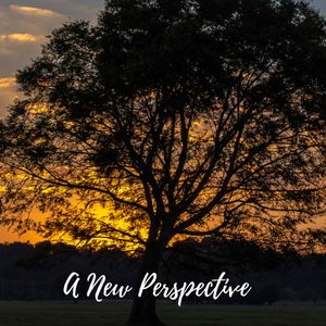 Sleep Well Rain Sound