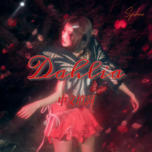 DAHLIA（中填）