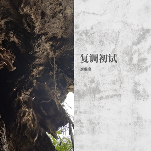 复调初试
