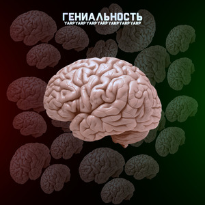 Гениальность