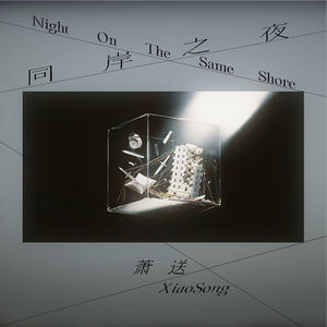 同岸之夜