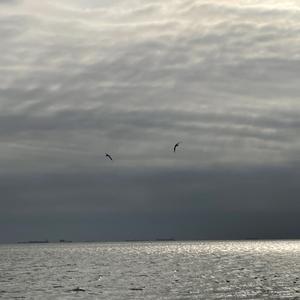 安和桥(cover:宋冬野)