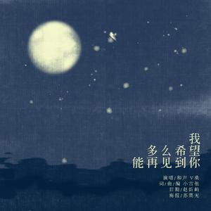 我多么希望能再见到你