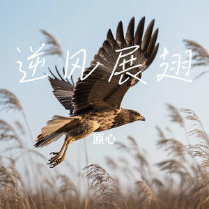 逆风展翅