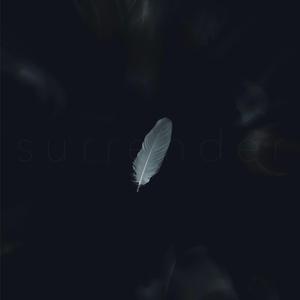 Surrender & Let Go (Commentary)