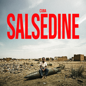 Salsedine