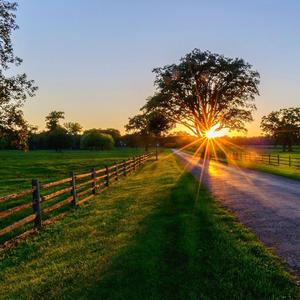 [FREE]藍色馬天尼