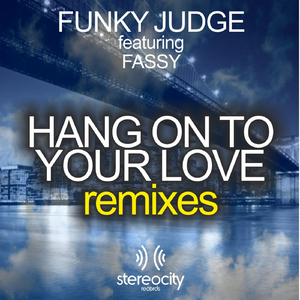 Hang On To Your Love (Pagany Nu Funk Remix)