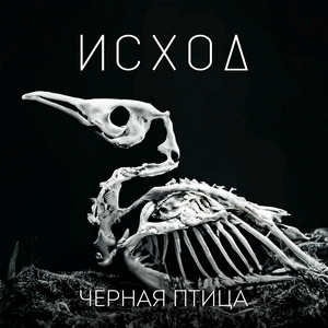 Черной птицей