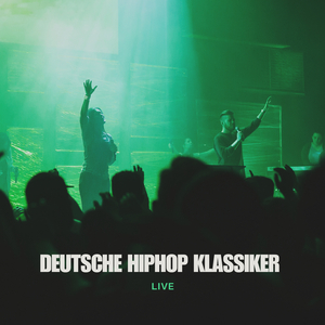 Füchse (Live Cover Band in Concert)