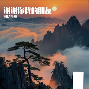 《谢谢你我的朋友》