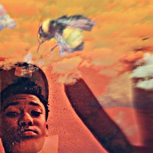 if you run up on me?