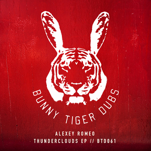 Thunderclouds (Original Mix)