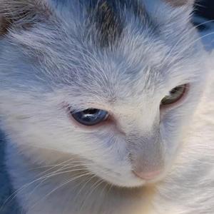 我们都是好孩子