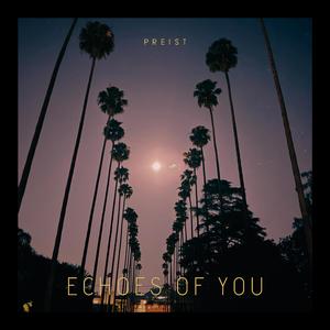 Echoes of You